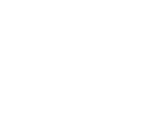 Orionix Pro